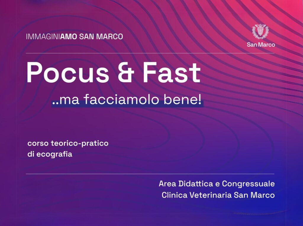 Pocus&Fast corso di formazione in presenza