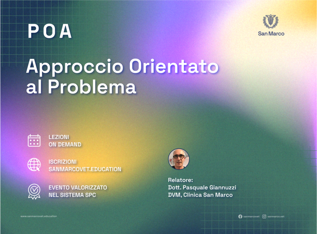 POA - Approccio orientato al problema